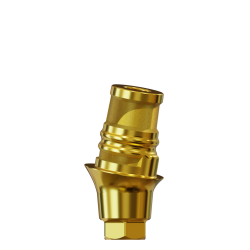 RC-Base 11° G2 Anodised B-Stock