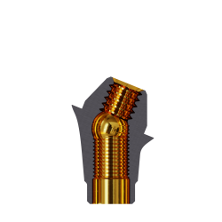 MultiUnit-Abutment 22° GH 2.5